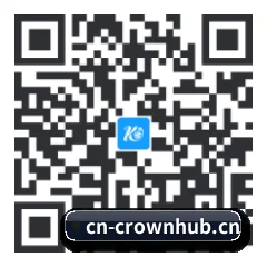 苹果版 iOS 二维码